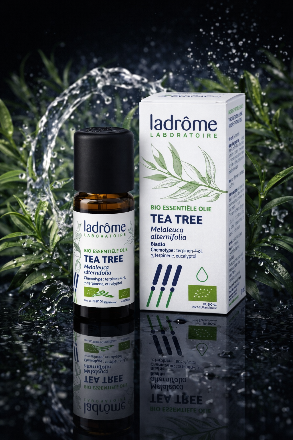 Árbol del Té